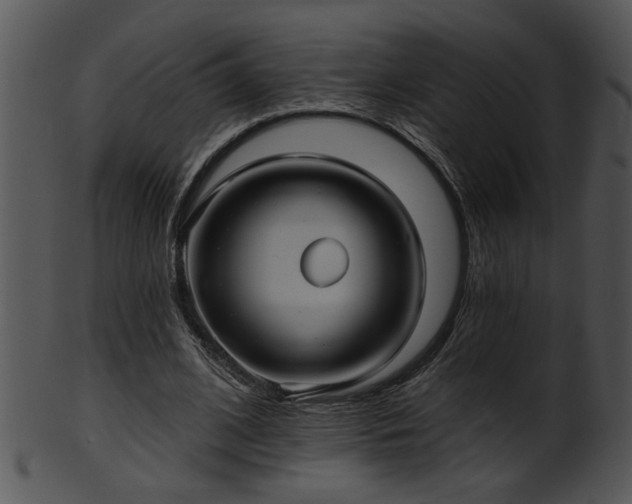 X0000101450584200807141246