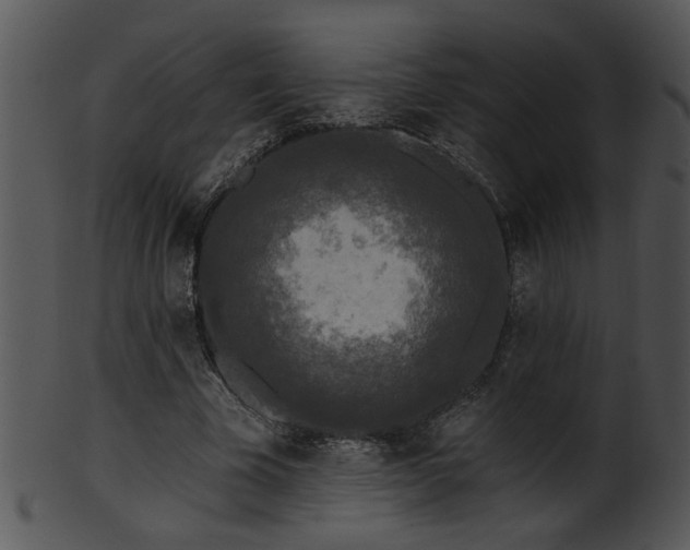 X0000101450585200807141246