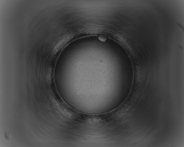 X0000101450586200807141246