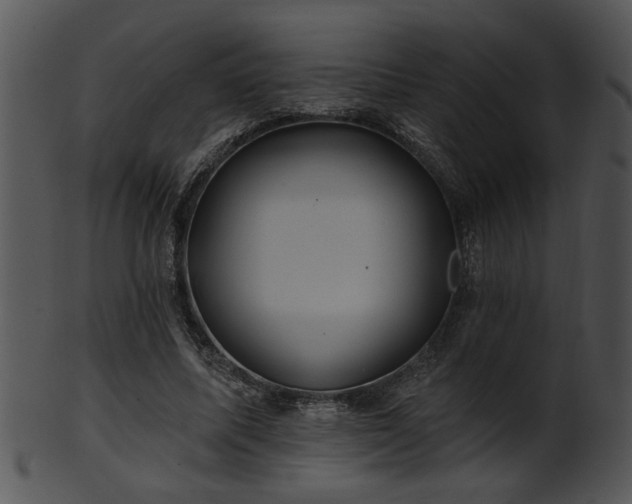 X0000101450587200807141246