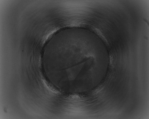 X0000101450588200807141246