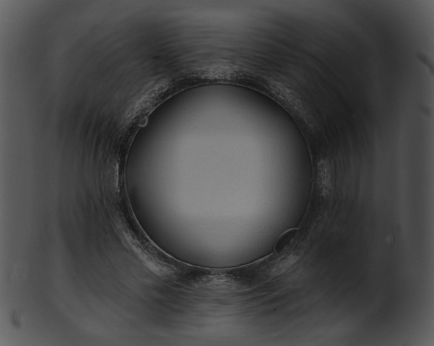 X0000101450589200807141246