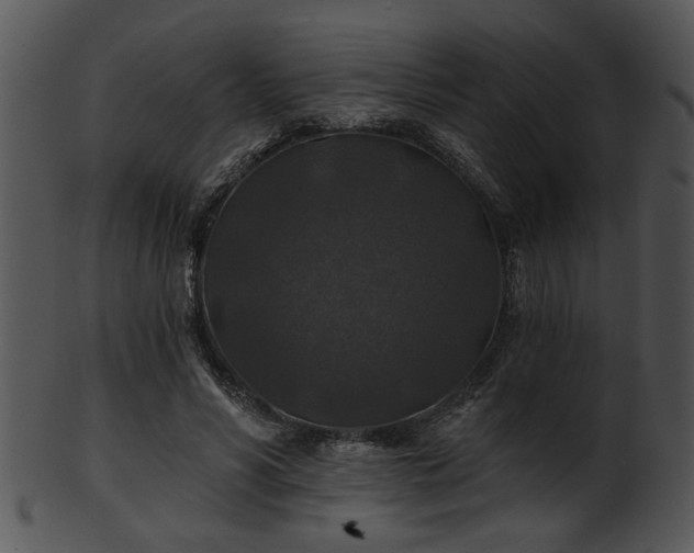 X0000101450590200807141246