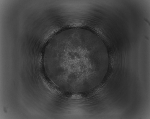 X0000101450591200807141246