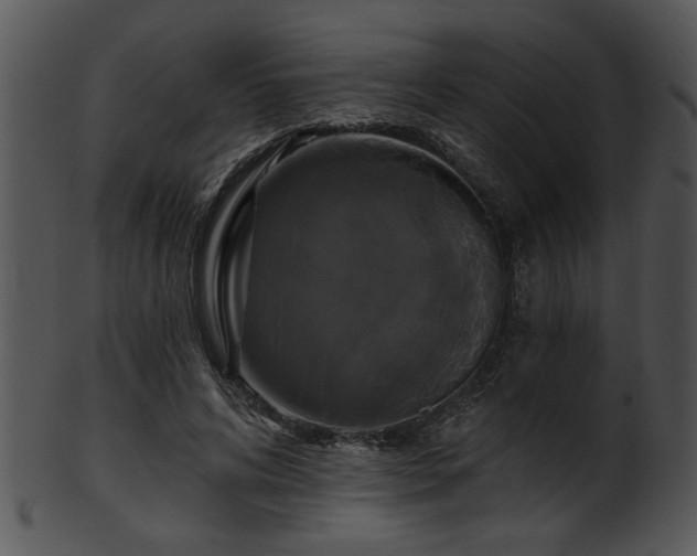 X0000101450592200807141246