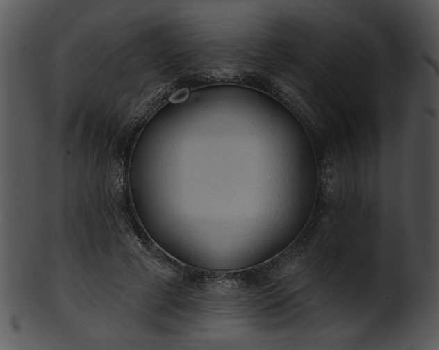 X0000101450593200807141246