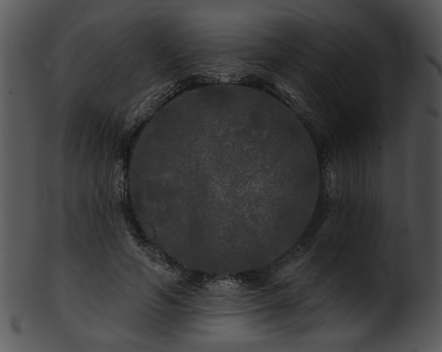 X0000101450594200807141246