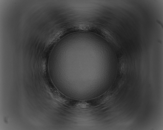 X0000101450595200807141246