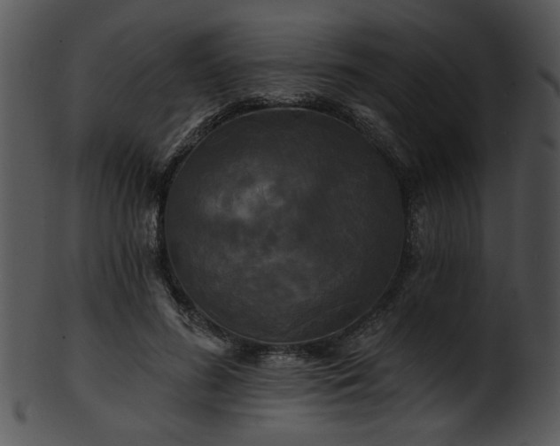 X0000101450596200807141246