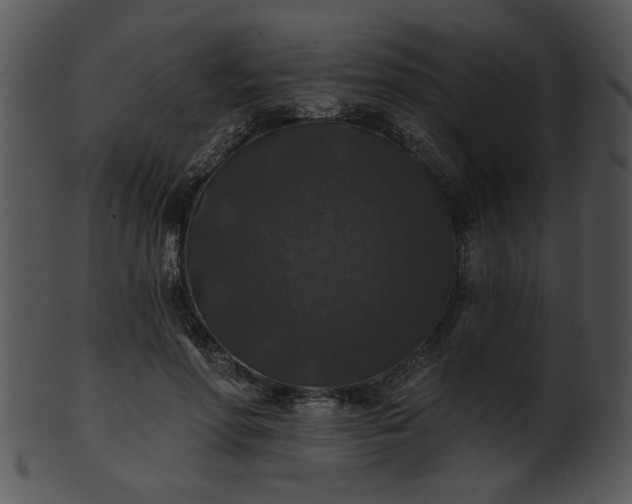 X0000101450598200807141246