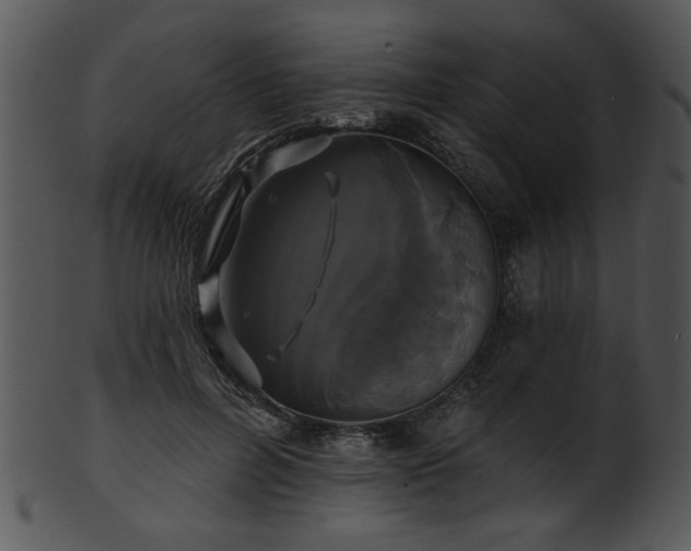 X0000101450600200807141246