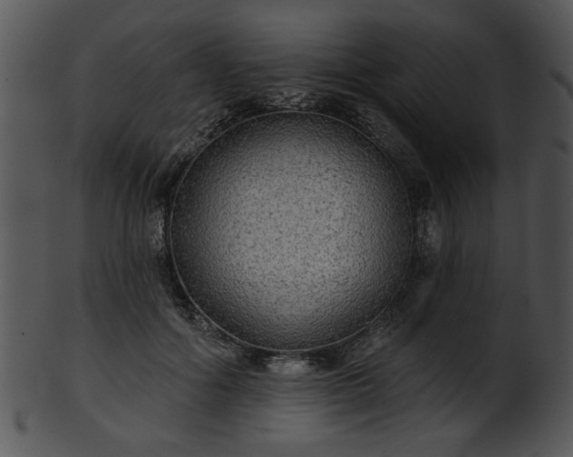 X0000101450602200807141245