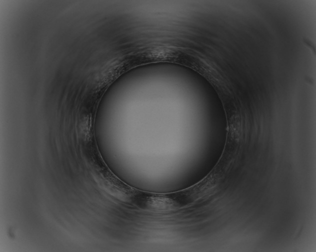 X0000101450605200807141245