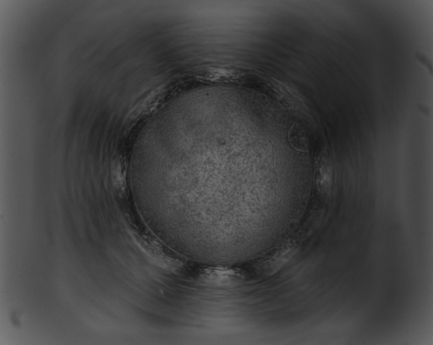 X0000101450607200807141245