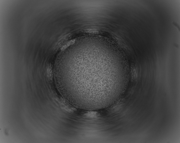 X0000101450609200807141245