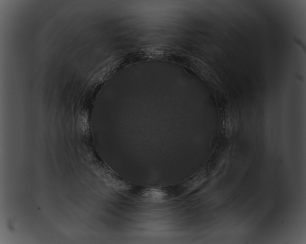 X0000101450610200807141245