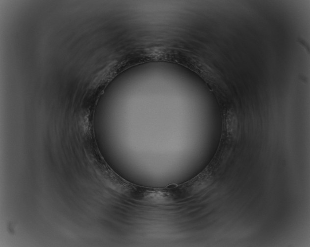 X0000101450611200807141245