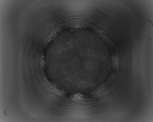 X0000101450612200807141245