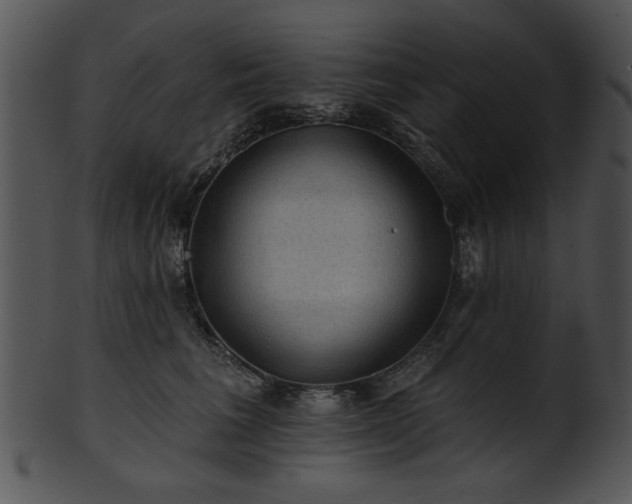 X0000101450613200807141245