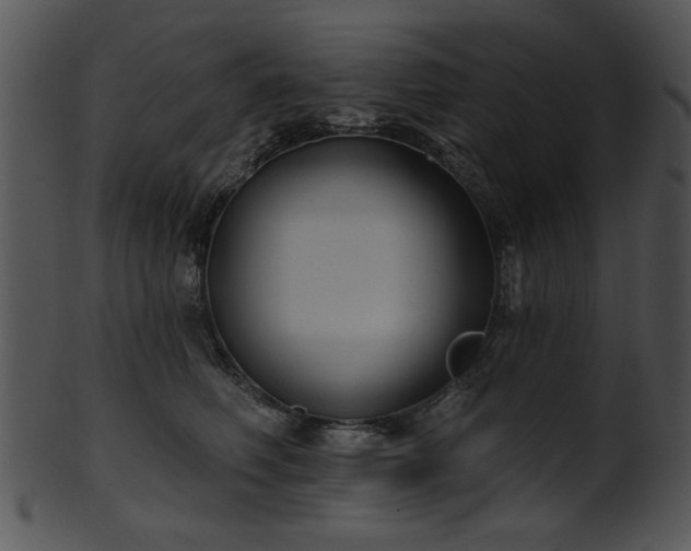 X0000101450614200807141245