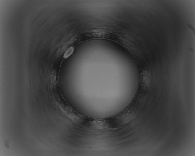 X0000101450615200807141245