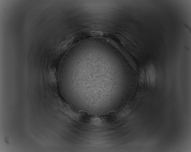 X0000101450616200807141245