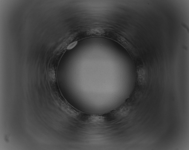 X0000101450617200807141245