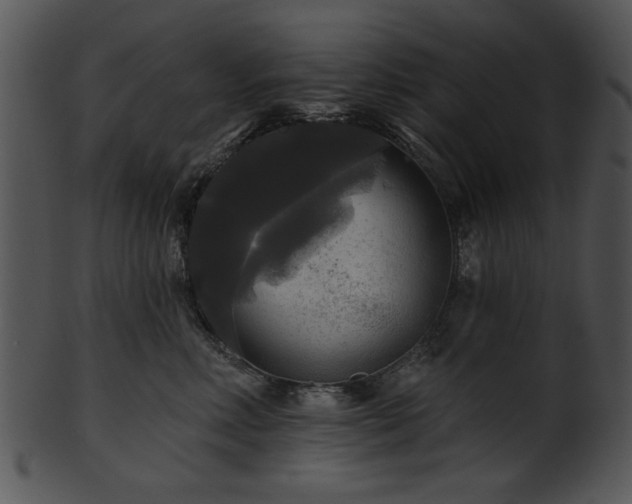 X0000101450618200807141245