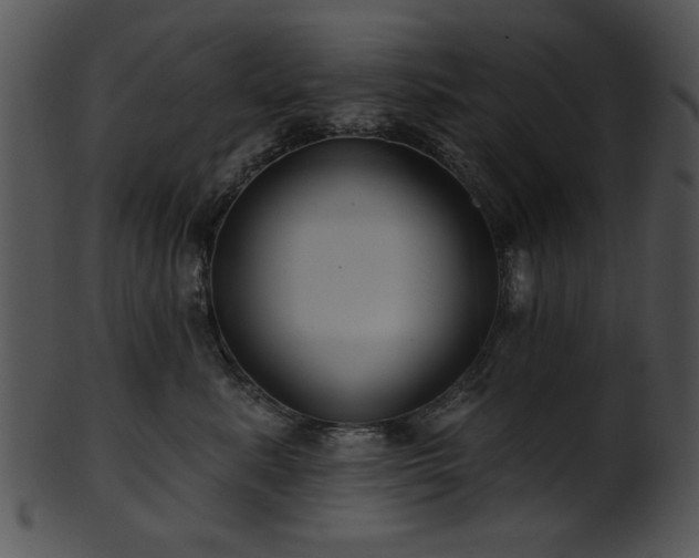 X0000101450619200807141245