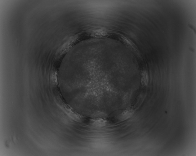 X0000101450621200807141245