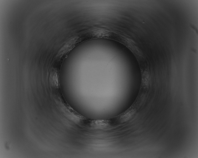 X0000101450622200807141245