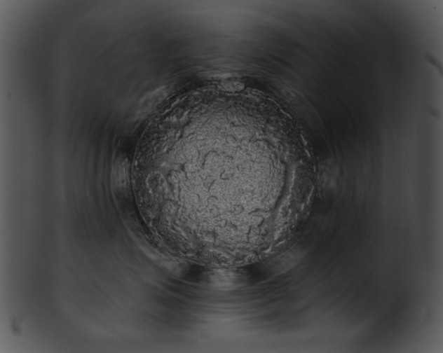 X0000101450623200807141245