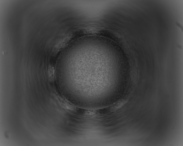 X0000101450624200807141245