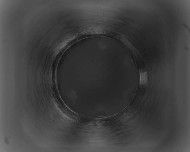 X0000101450627200807141244