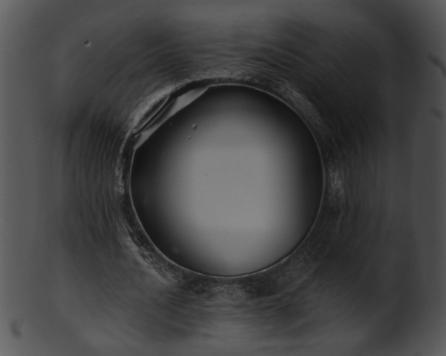 X0000101450628200807141244