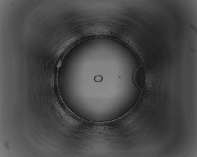 X0000101450629200807141244