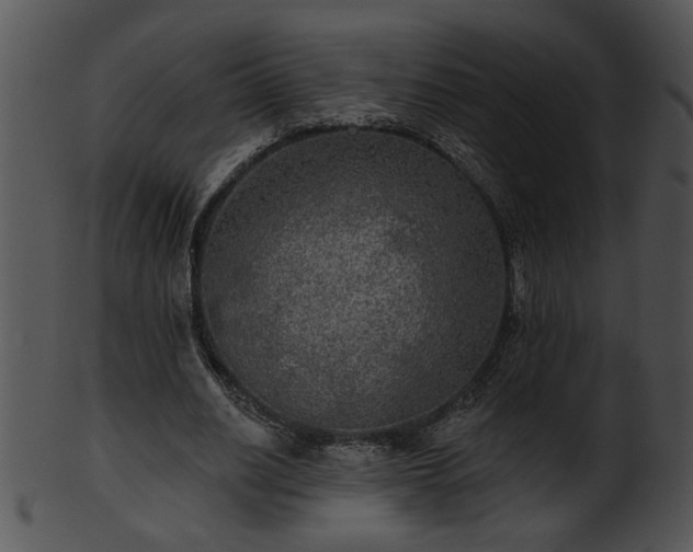 X0000101450630200807141245