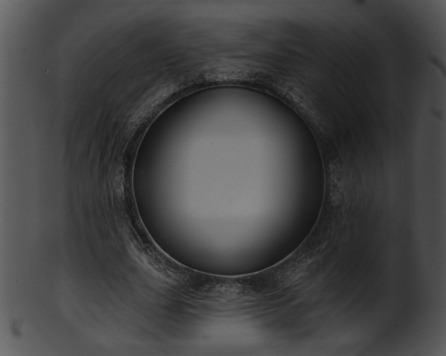 X0000101450631200807141245