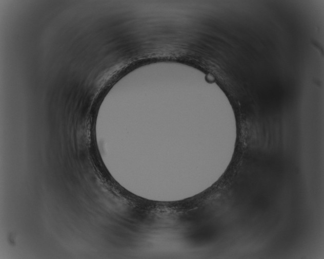 X0000101450632200807141245