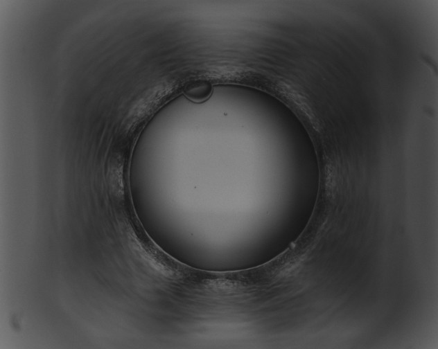 X0000101450633200807141245