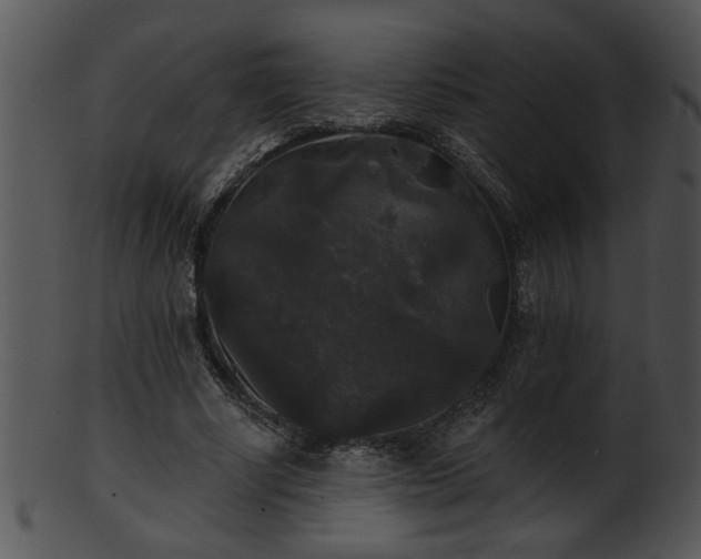 X0000101450634200807141245