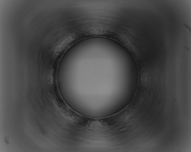 X0000101450635200807141245