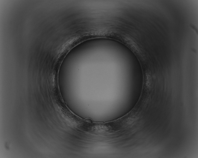 X0000101450636200807141245