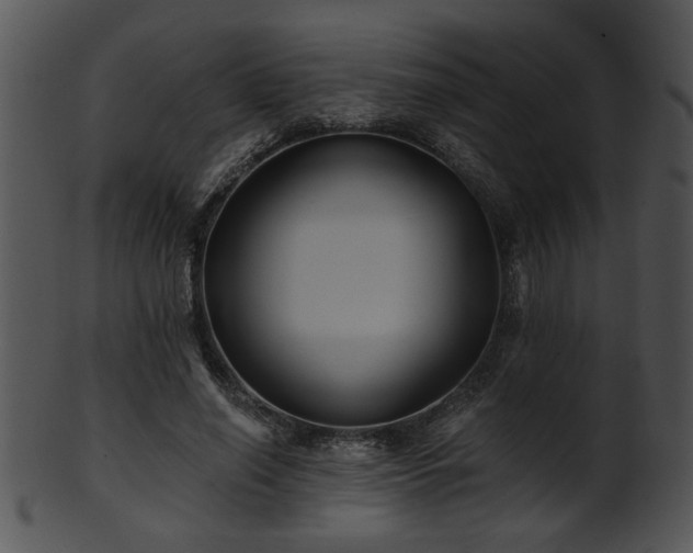 X0000101450638200807141245