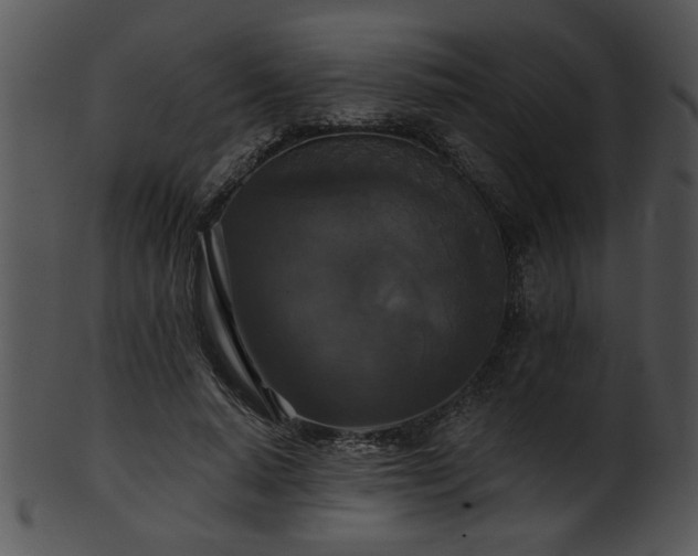 X0000101450640200807141245