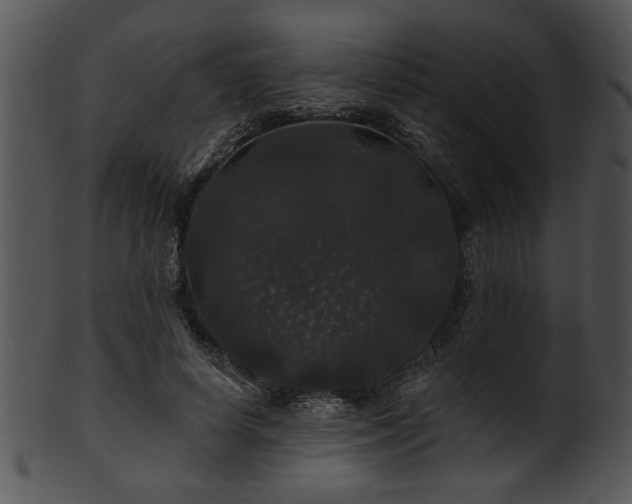 X0000101450642200807141245