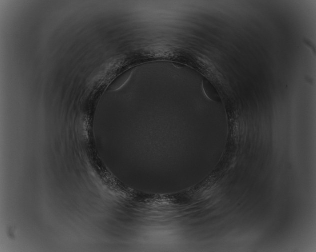 X0000101450643200807141245