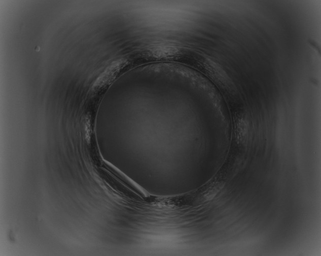 X0000101450644200807141245