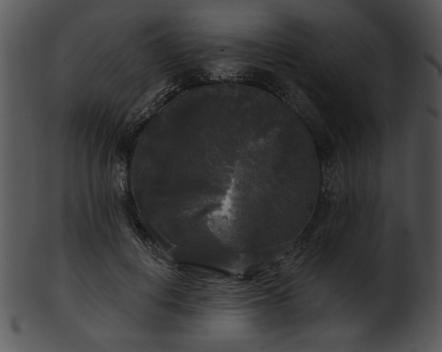 X0000101450648200807141245