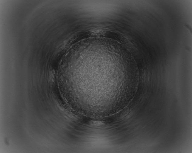 X0000101450649200807141245